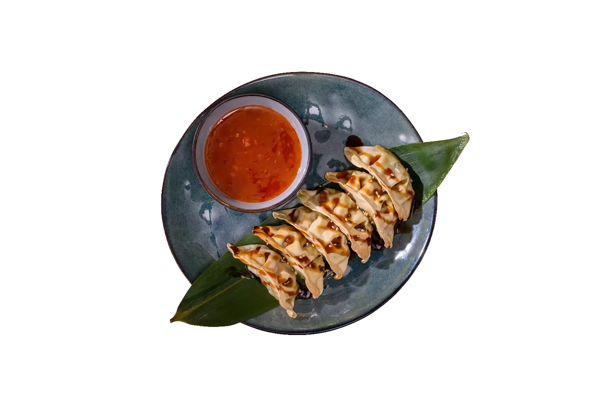 GYOZAS POULET X6